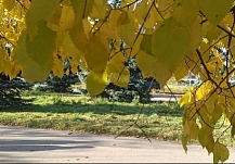 ������� ������� ������� �������� 2025 ���� � ���������� �������