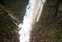 �������� ������� ������� �� �������� � ���������� �������