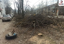 ������ ���������� ������� ����������� �� ����������� � ������������ �������� �����