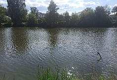 ����� ���� ��������� � ����� ���������� �������