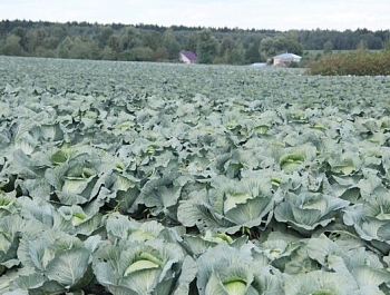 ����������� ������������������ ��������� � ����������� ����������� ����� ����� ��� ���������� ������������