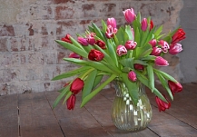 �� ������� ������� ����: ���� ������� ��������� �������� ������� � 8 �����