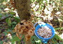 ��-�� ������ � ����� ���������� ������� ����������� ����� 30 �������