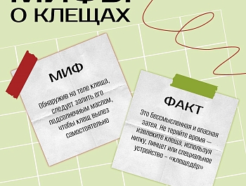 �������� ��������� ���������� ����� �� ������� ���������� �������