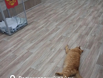 ����, ������ � ��� ������� �� ������� � ���������� �������