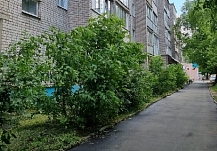 В Иванове обустроят более 2,5 тысяч квадратных метров пешеходных зон