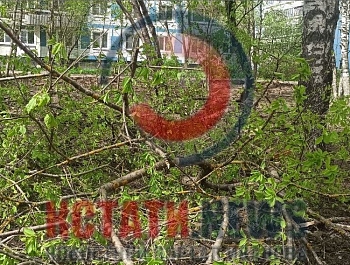 ������ �������� ����� � ����������� � �������