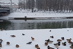 ���� ��������� ������� ���������� ������� 3 �������