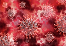 В Ивановской области выявили ещё 155 больных коронавирусом
