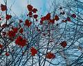 ���� ������ �����: �� ����� �������� �������������