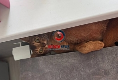 �������� � ���: ����� ���� �������� ����� ���� �������