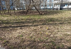 ������� ������� �������� � ������ ������, ��������� � ���������� ������