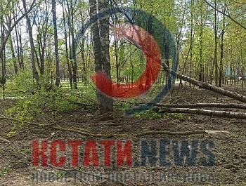 ������ �������� ����� � ����������� � �������