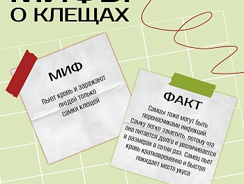 �������� ��������� ���������� ����� �� ������� ���������� �������