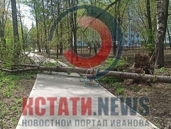 ������ �������� ����� � ����������� � �������