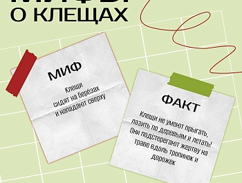 �������� ��������� ���������� ����� �� ������� ���������� �������