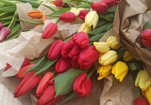 Ивановские флористы назвали опасные цветы на День святого Валентина 
