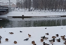 Лютый холод прогнозируют 4 декабря в Ивановской области