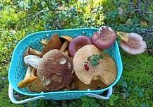 ��-�� ������ � ���������� ������� ��������� ����