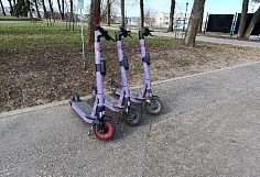 � ������� ���� ���������� �� �������� ������ ������ ����� ������ ��������
