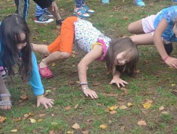 ���������� ����������� ������� � ������ �� ������ ������� �������