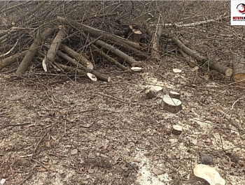 ����� ������� �������� ����� ���������� ����������� �7