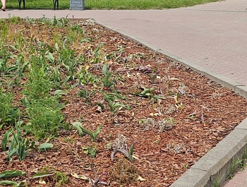 ���������� �������� �� ������ � ������ ������� 