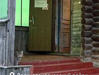 ����, ������ � ��� ������� �� ������� � ���������� �������