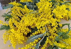 ��� ���������� ��������������� ��������� 8 �����