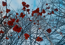�� ��� ������� ���� ������ �� ���������� �������