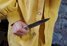 В Ивановской области плохая хозяйка отстояла свою честь с ножом в руках