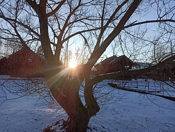 ��������� ���� � �������� ������� ������ ���������� �������