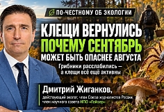 ����� ���������: ������ �������� ������� �������