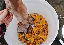 ���� � ���������� ������� �������� �� ����� ������