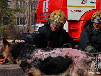 � ����� � ���������� �������� ������ �������� ��� �� ���